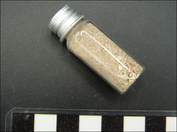 Sediment: Phosphate Morocco Cretaceous