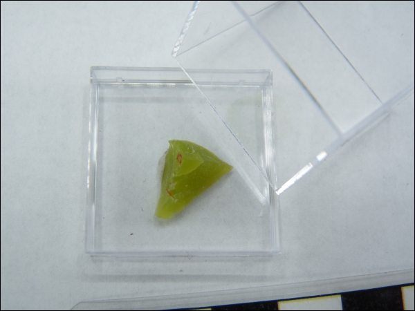 Chloropal middle in box