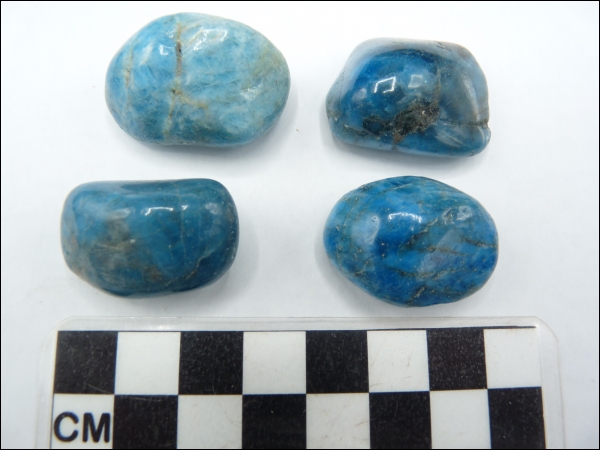 Apatiet blauw trommelsteen gepolijst middel
