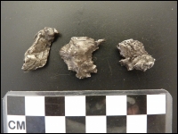 Meteorite Sikhote-Alin middle