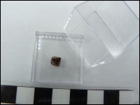 Zircon crystal small in box