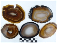 Agate slice 7-10cm middle
