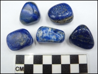 Lapis Lazuli trommelsteen gepolijst middel