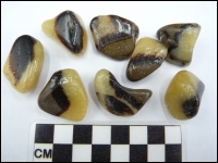 Septaria Madagascar tumblestone polished small