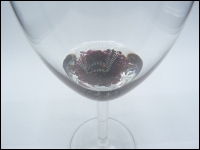 Wine glass with Garnet in epoxy