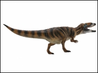 Model Carcharodontosaurus extra large